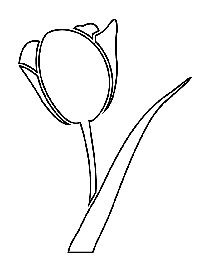 670x867 Single Rose Stencil H Amp M Coloring Pages