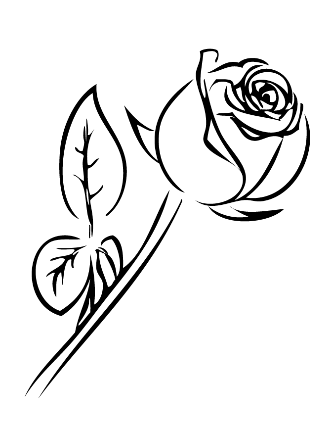 670x867 Single Rose With Leaves Coloring Page H Amp M Coloring Pages