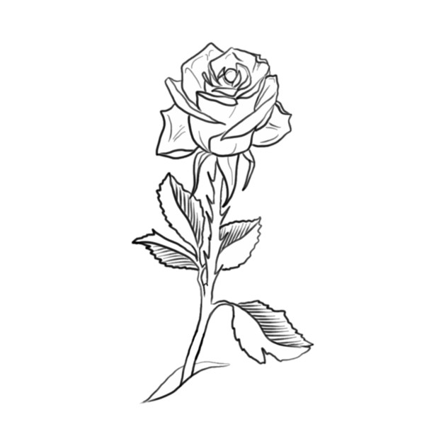 Single Rose Drawing at GetDrawings | Free download