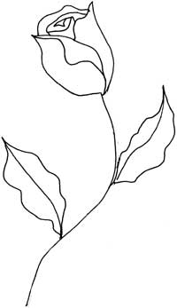 200x347 Rosesinglestem.jpg