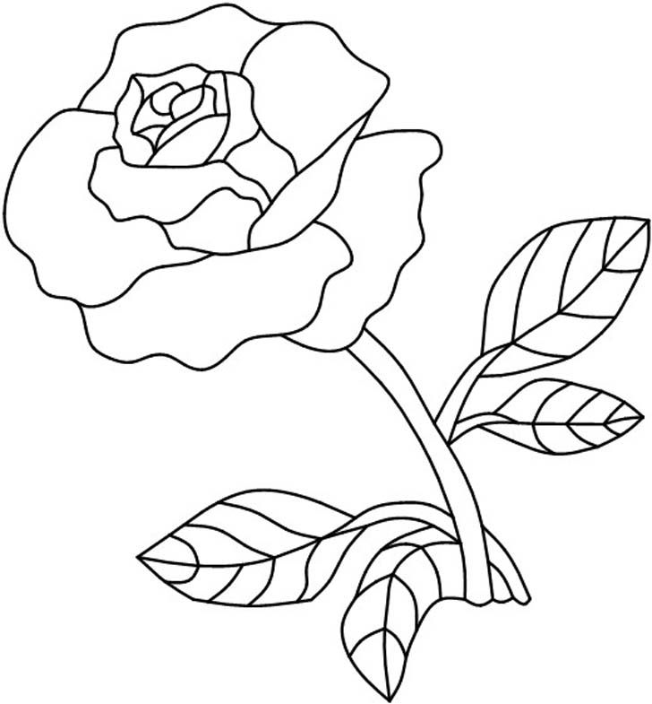 Single Rose Drawing at GetDrawings | Free download