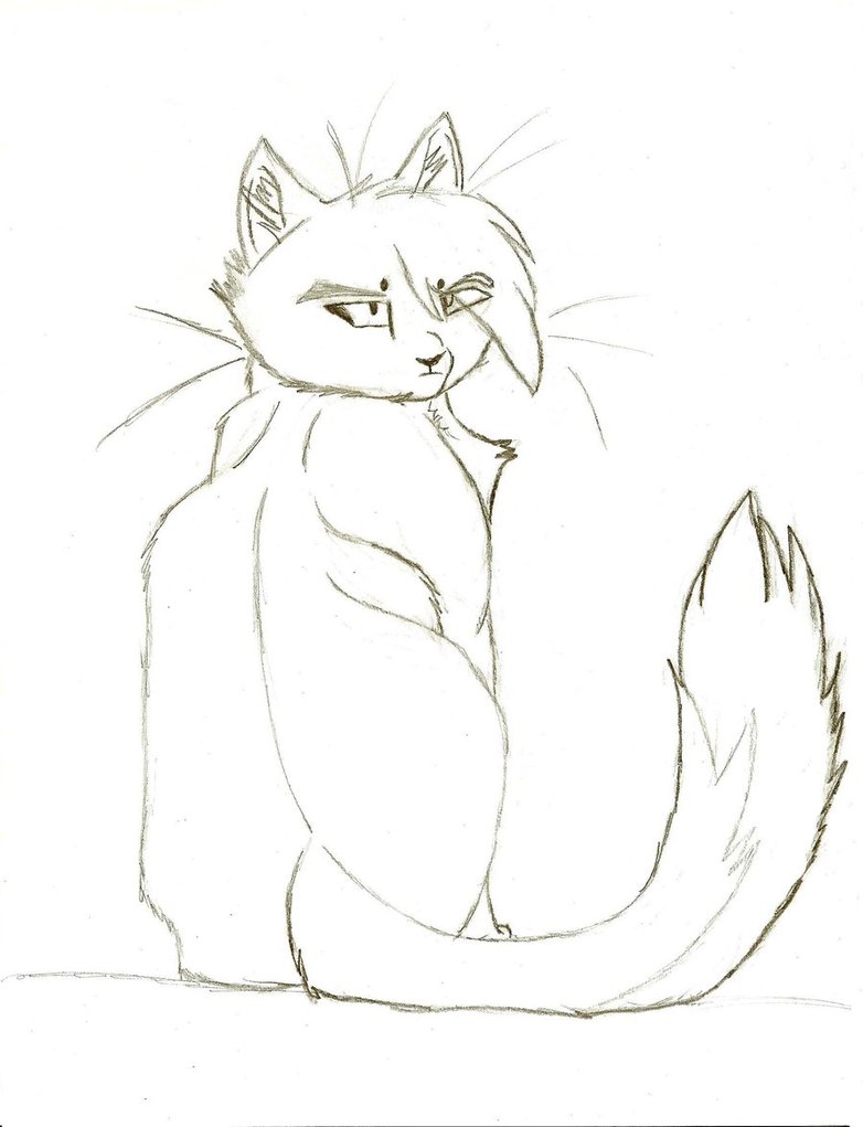 782x1021 Sitting Warrior Cat Sketch By Mistybubblez