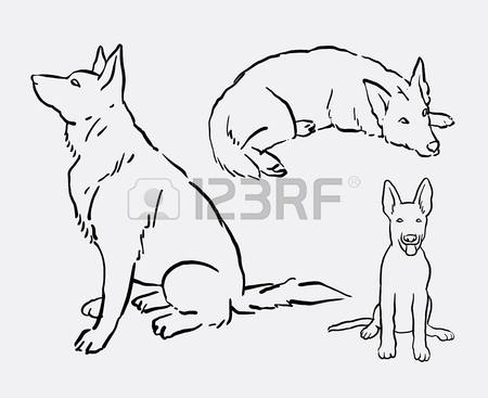 450x367 German Shepherd Pet Dog Animal Drawing. Good Use For Symbol