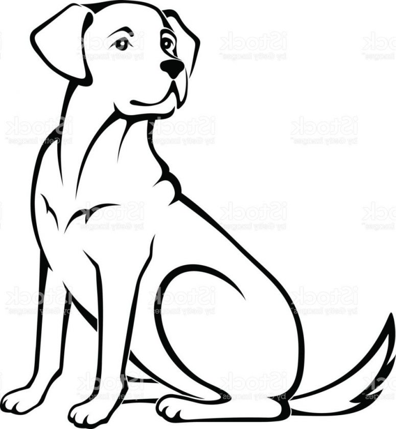 775x838 Top Vector Illustration Of Sitting Dog Pictures