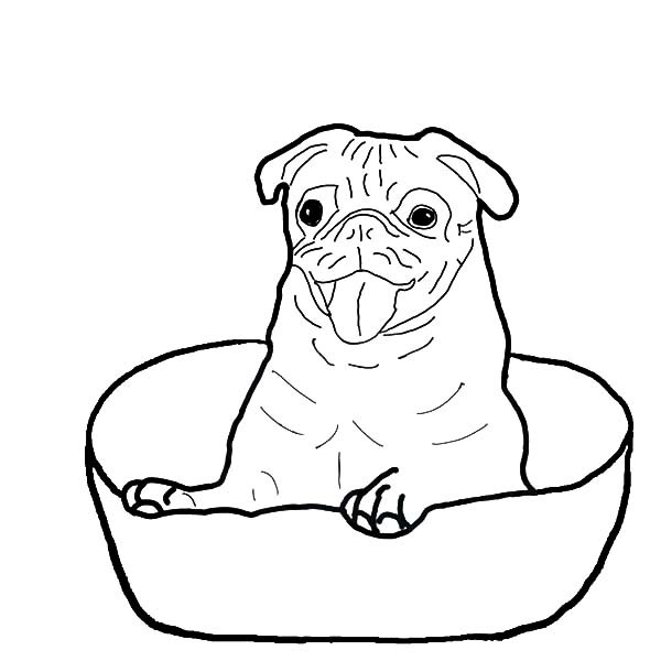 600x600 Boxer Dog Sitting In A Bowl Coloring Pages Best Place To Color
