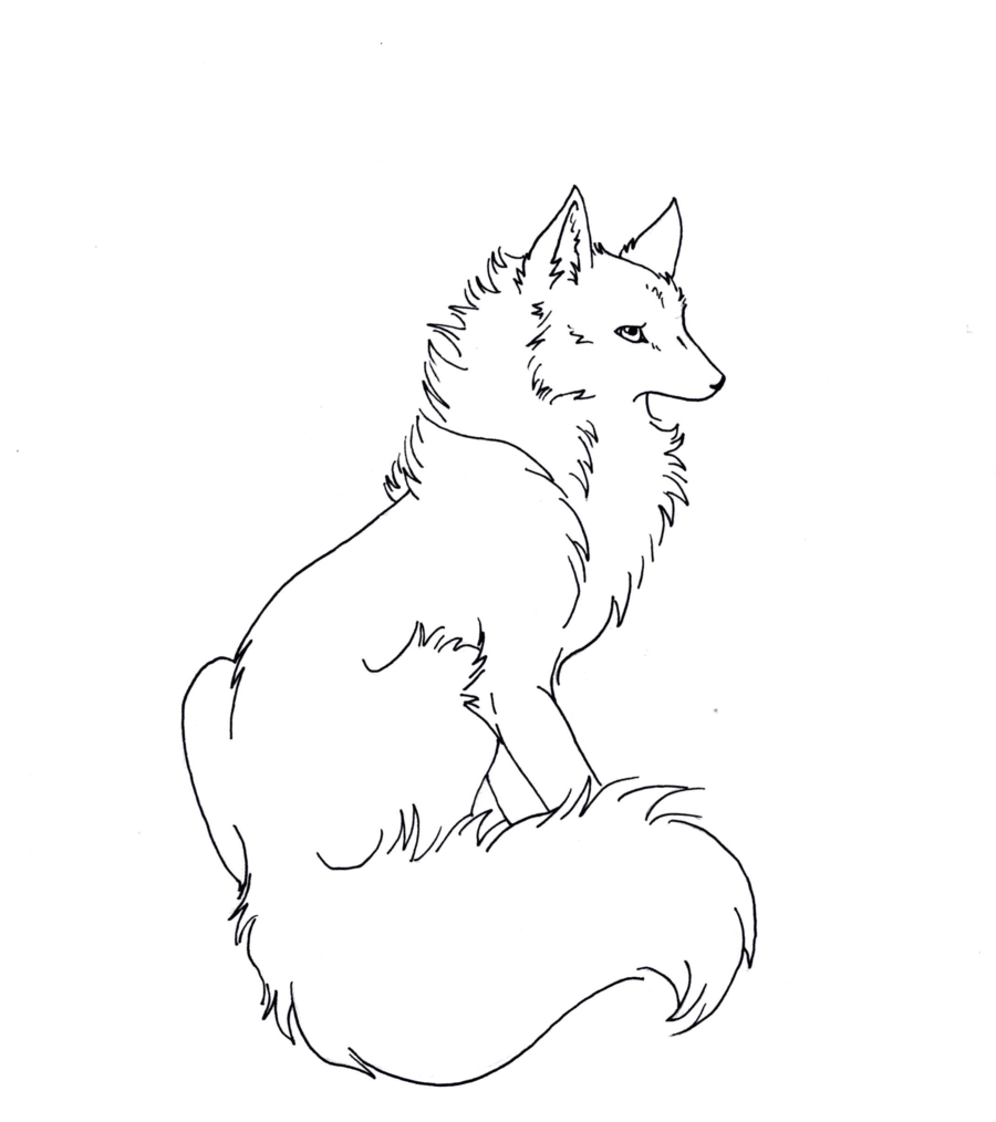 Sitting Fox Drawing at GetDrawings | Free download