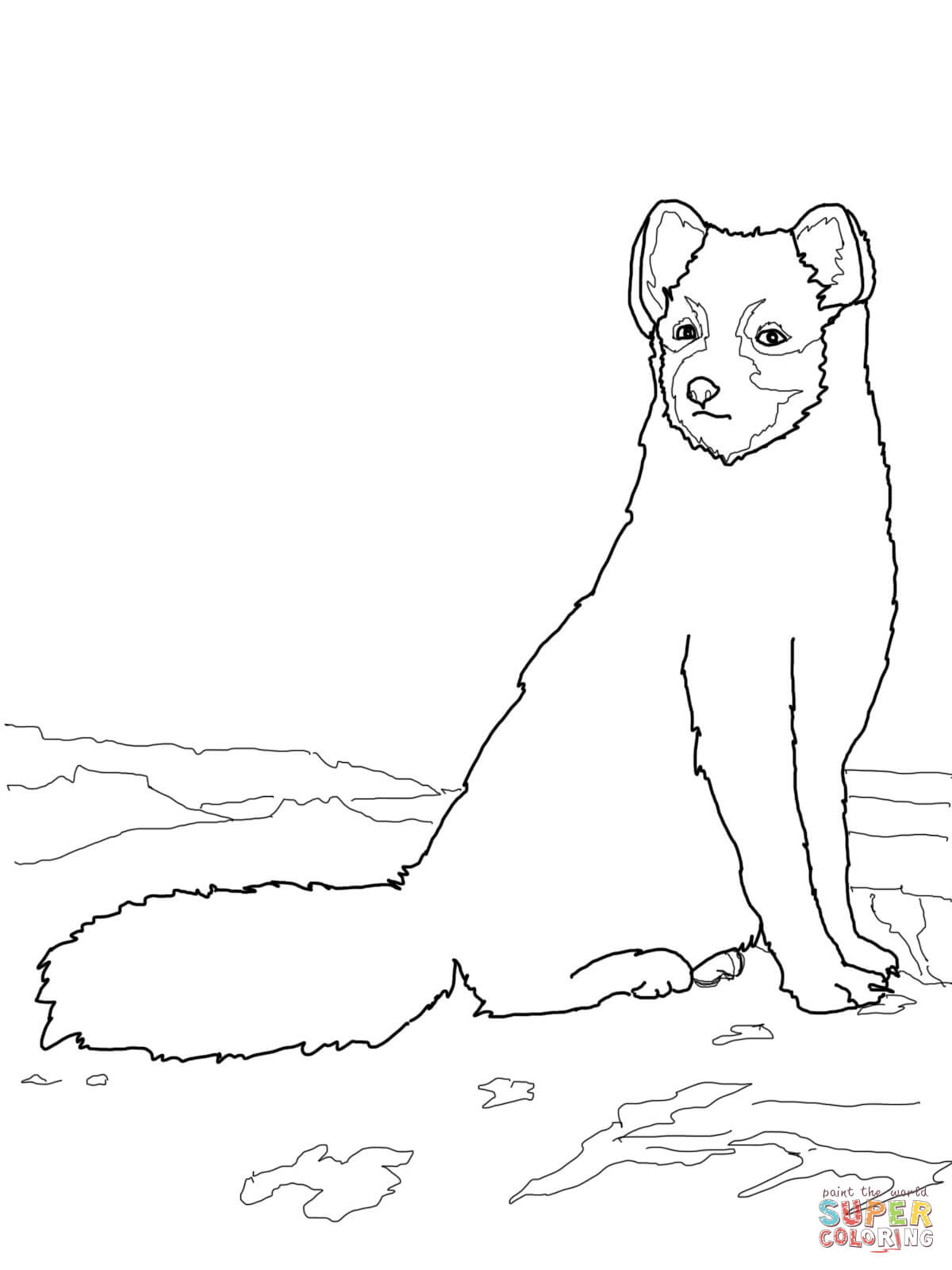 1200x1600 Sitting Arctic Fox Coloring Page Free Printable Coloring Pages