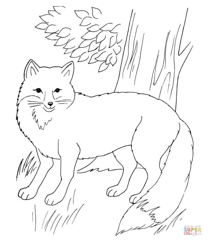 678x790 Sitting Red Fox Coloring Page Free Printable Coloring Pages