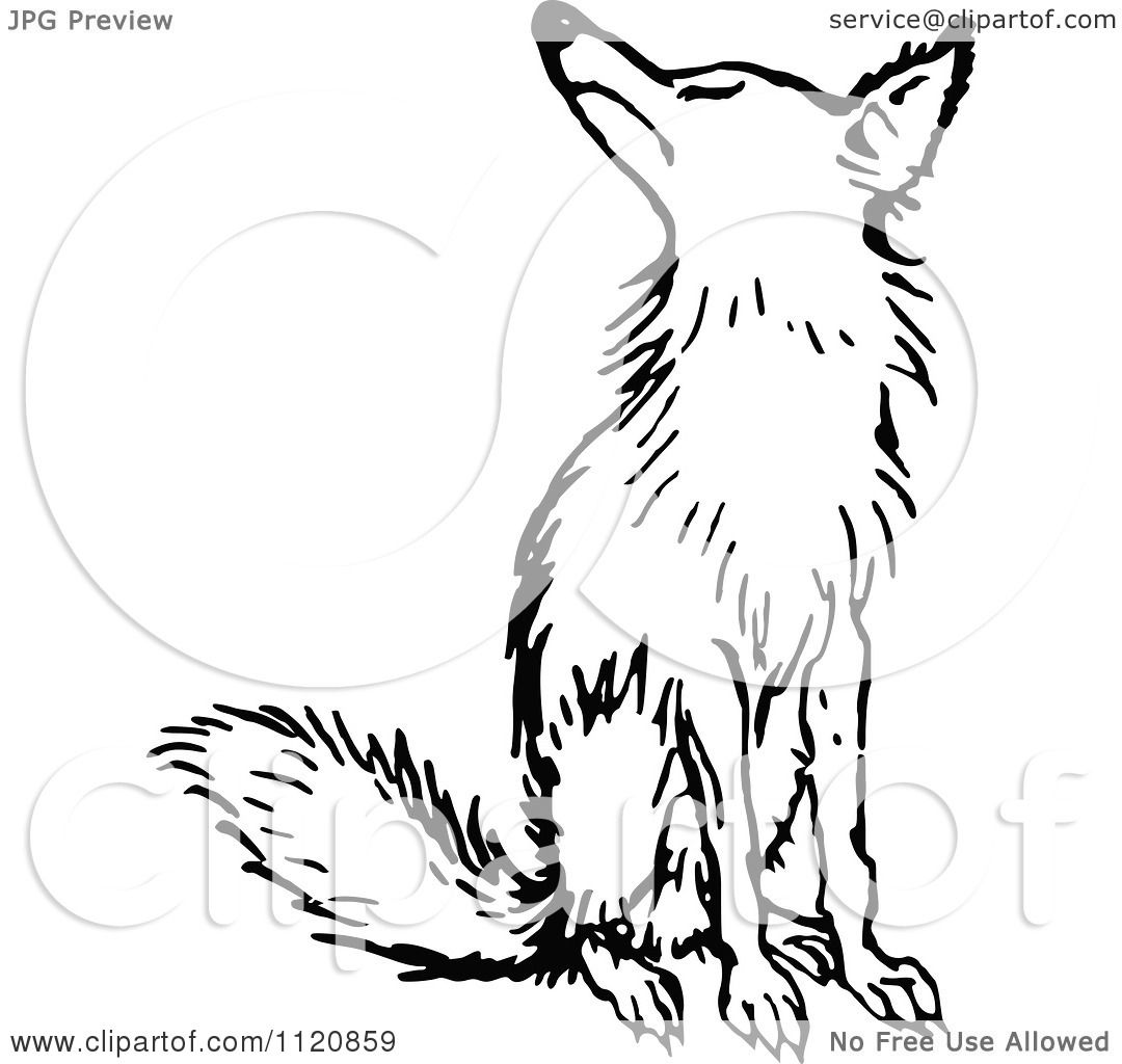 1080x1024 Clipart Of A Retro Vintage Black And White Fox Sitting
