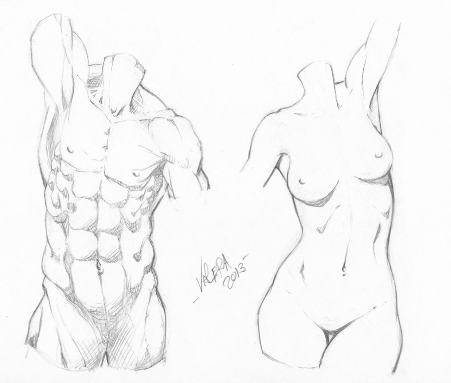 900x764 Random Anatomy Sketches 9 By Rv1994