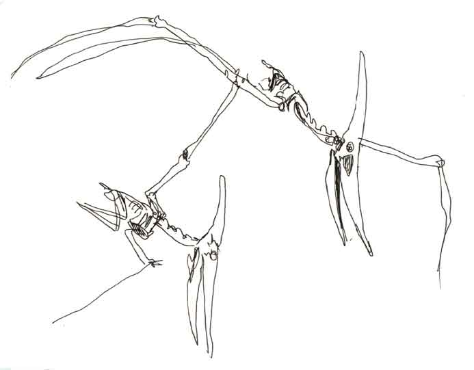 693x541 Berkeley Dinosaur Pterodactyl.jpg