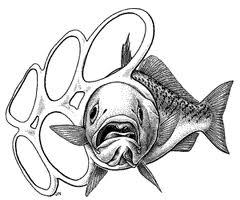 240x200 Do Te Ever Cut The Six Pack Rings Before Te Throw Them Away