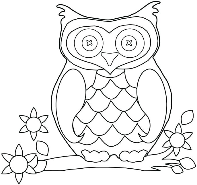 687x645 Impressive Enchanting Coloring Pages Owls Print Medium Size