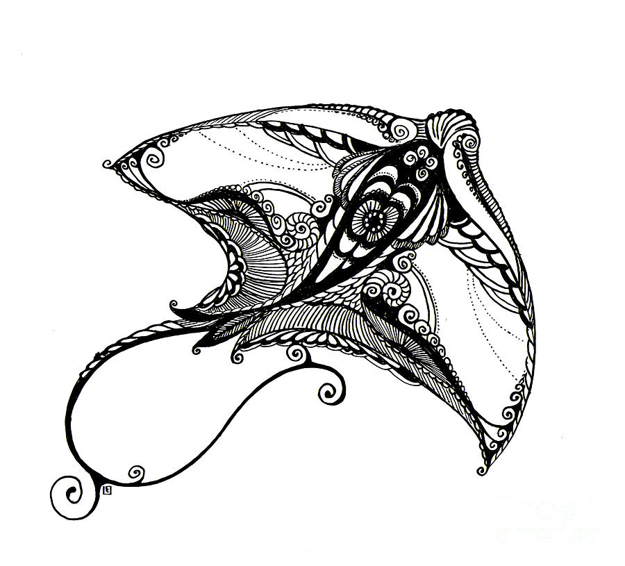 900x815 The Skate Drawing By Irina Yezhova