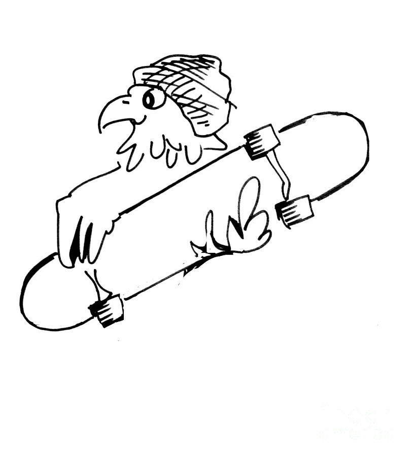 814x900 Drawn Skateboard Sketch