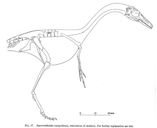 320x261 Scott Hartman's Skeletal
