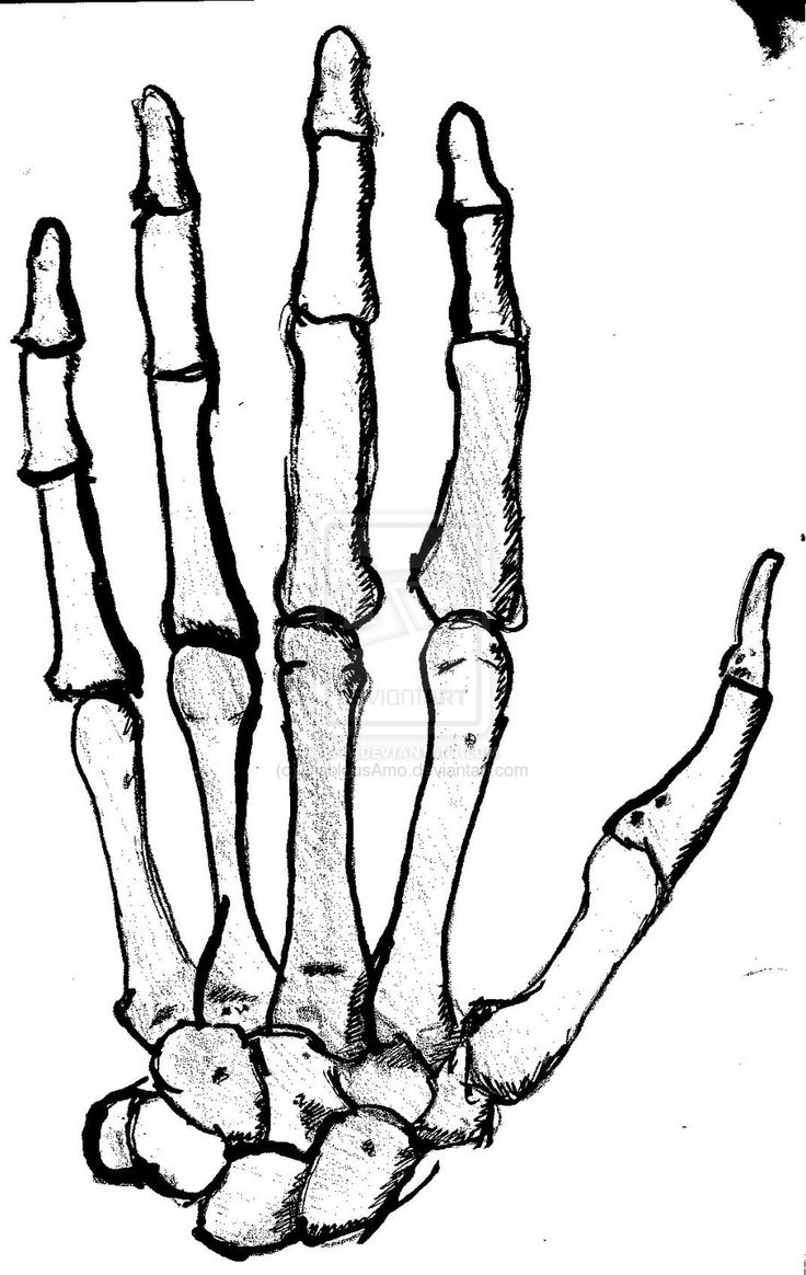 736x1164 Best Skeleton Hands Ideas On Water Sketch