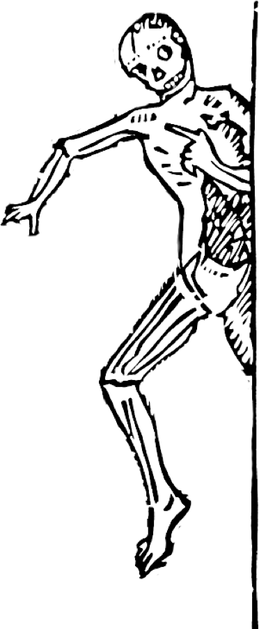 372x902 Letterink Draw Letters With Skeletons