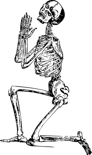 297x500 Vector Drawing Of Kneeling Skeleton Public Domain Vectors