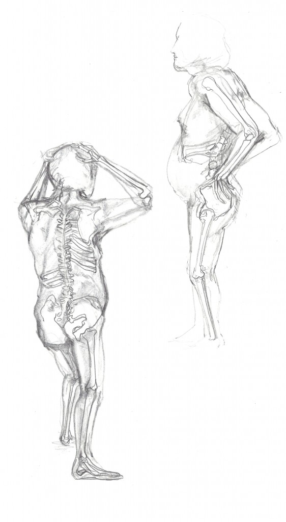 562x1024 The Naked Skeleton University Sketchbook