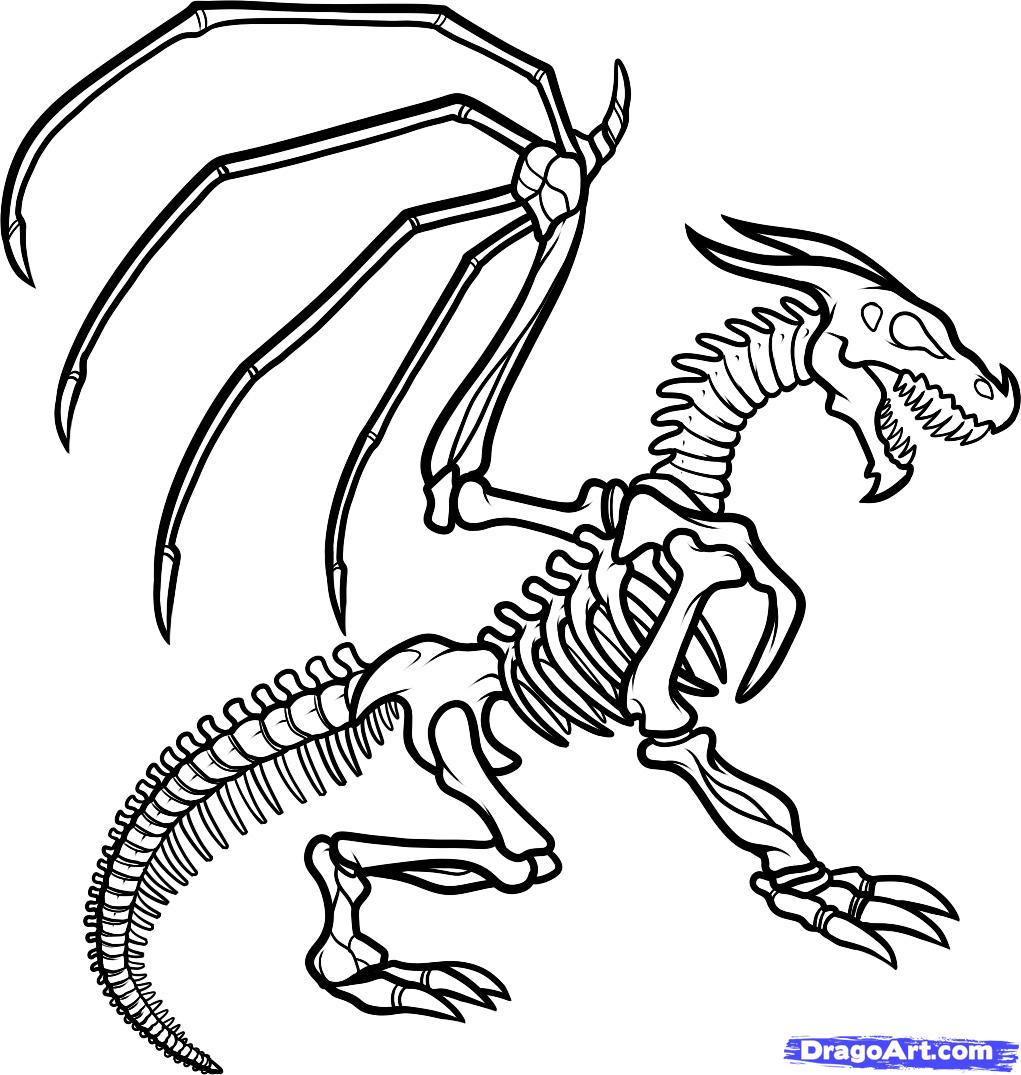 1021x1075 Drawn Bones Dino