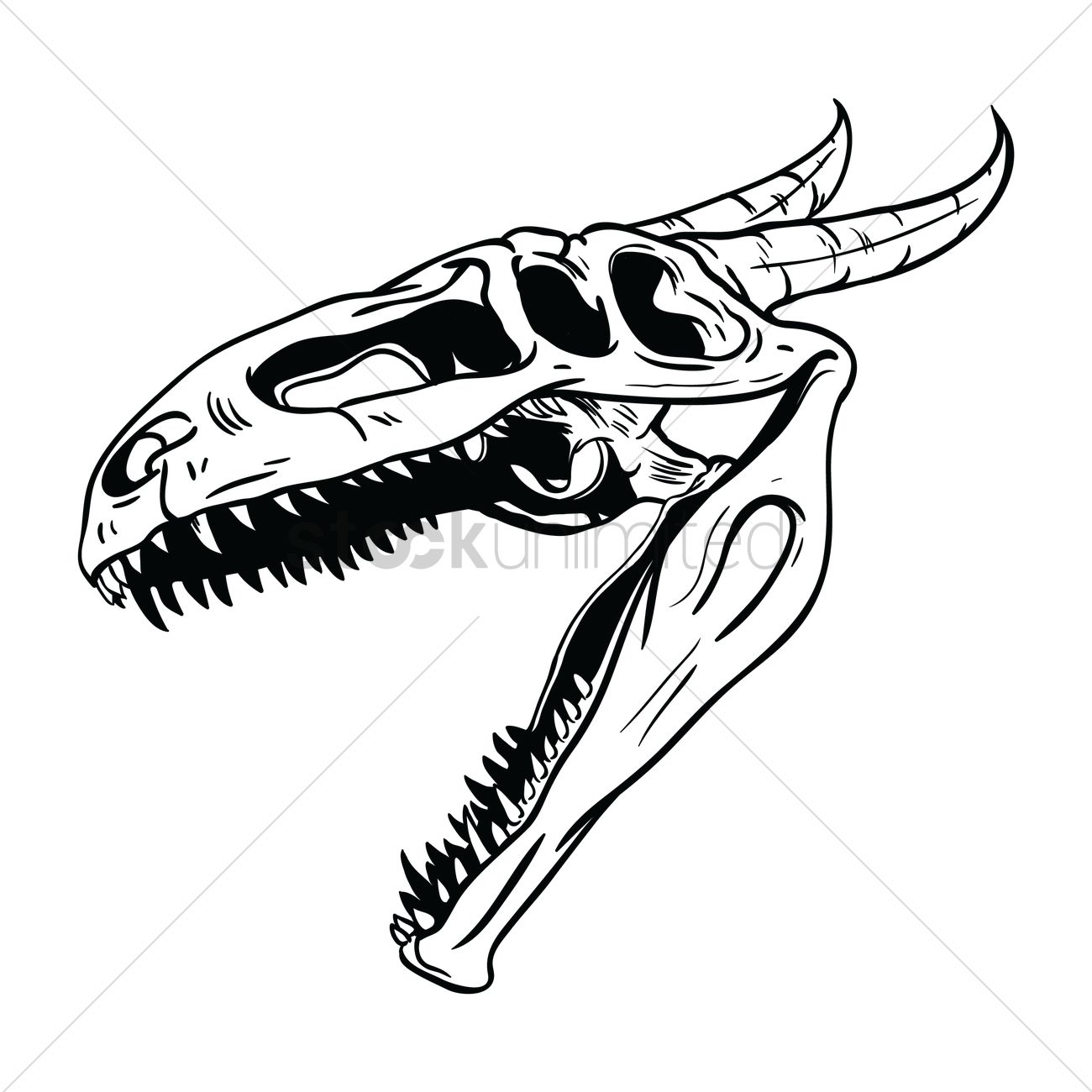 1300x1300 Free Dragon Skull Vector Image