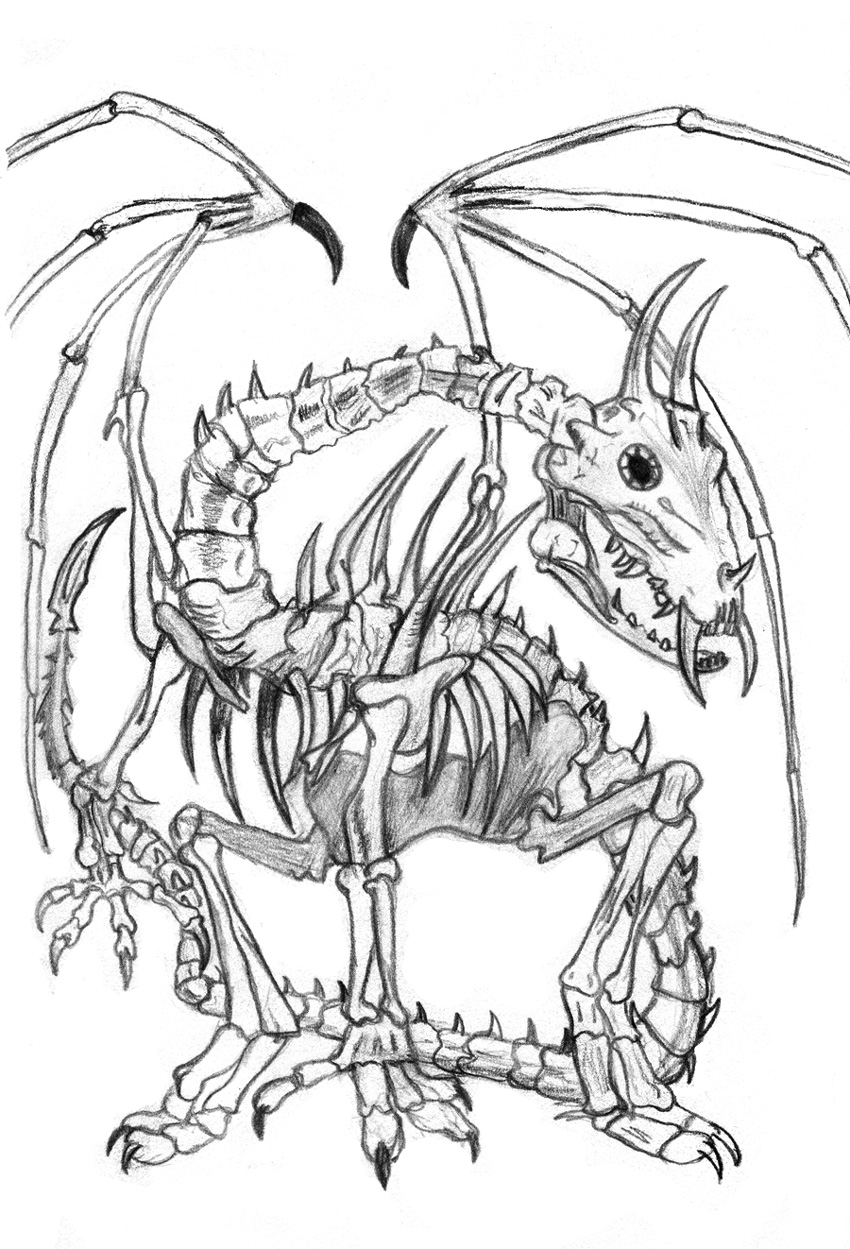 850x1249 Skeletal Dragon By Morindis