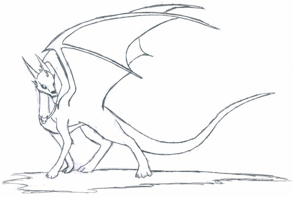 600x405 Skeleton Dragon Lineart By Seerterezipyrope