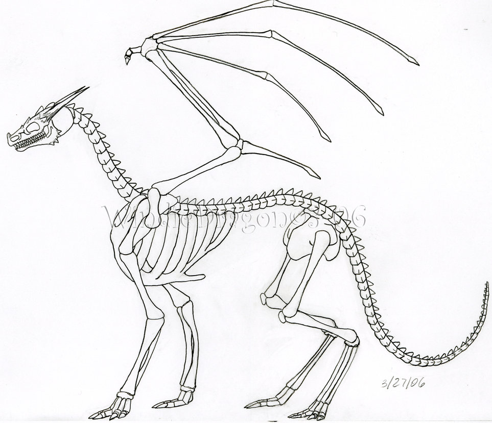 963x829 Dragon Skeleton By Windiedragon