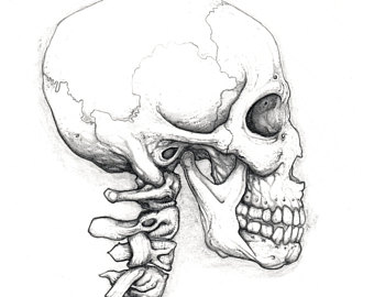 340x270 Skeleton Drawing Etsy