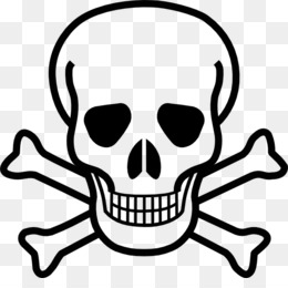 260x260 Free Download Calavera Human Skull Symbolism Skeleton Clip Art