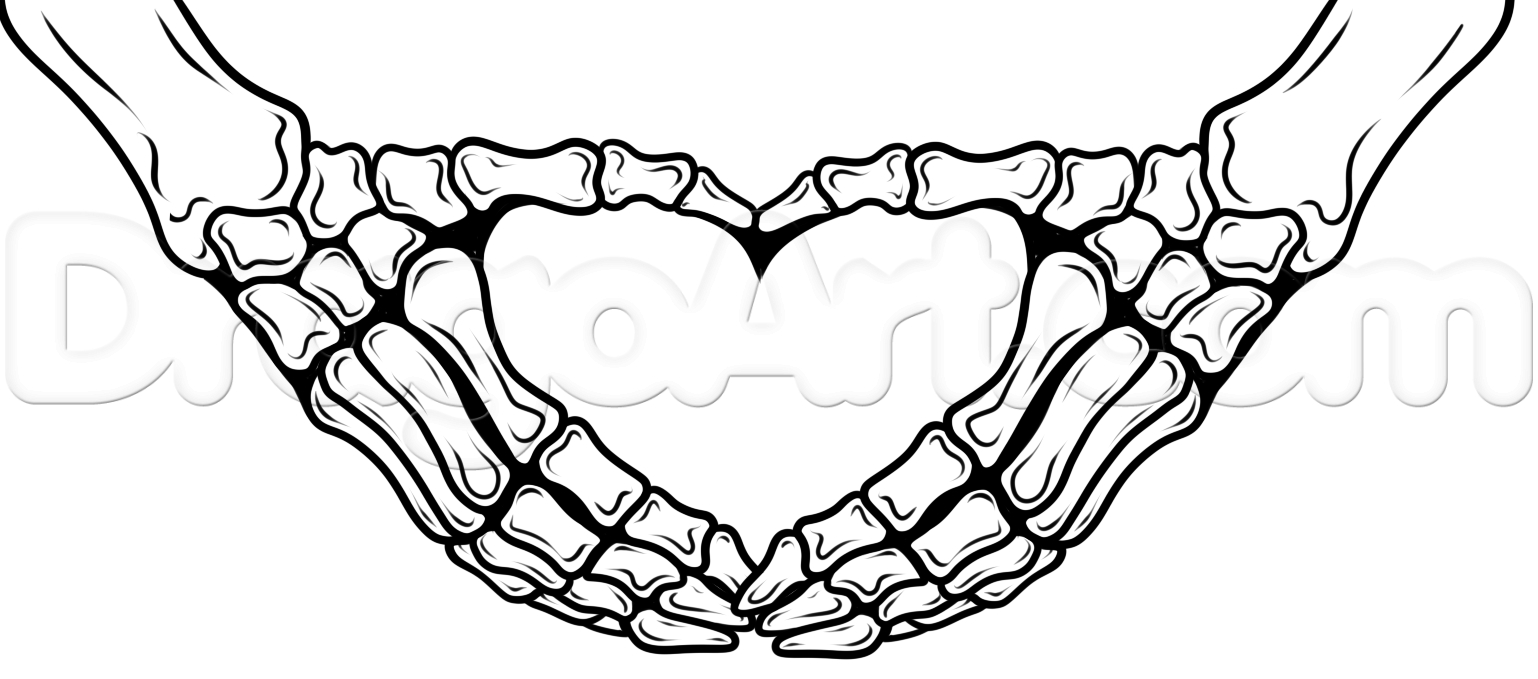 1538x679 Skeleton Hands Drawing