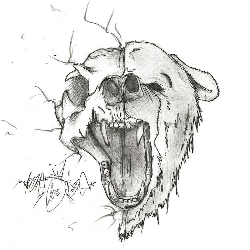 1024x1024 Skeletons Head Drawing By Artist Drawn Skeleton Easy Draw