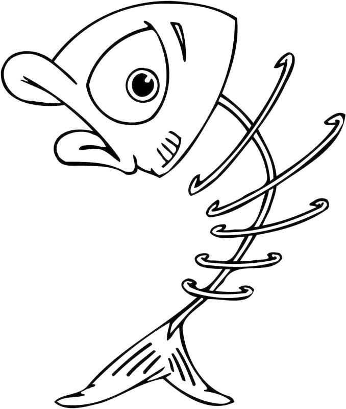 678x800 Skeleton Clipart For Kids