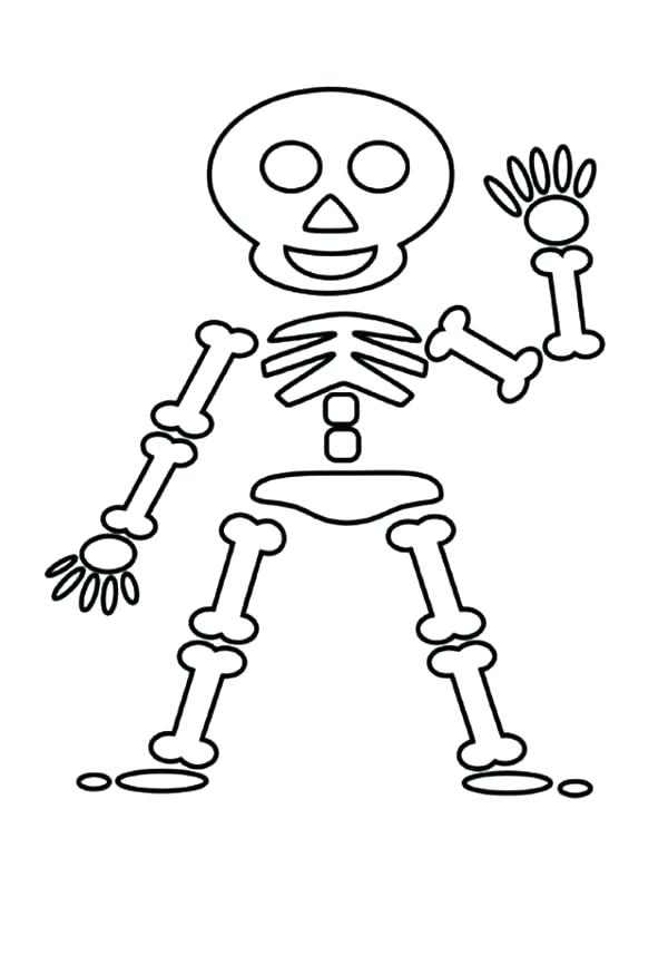 Skeleton Drawing For Kids at GetDrawings | Free download