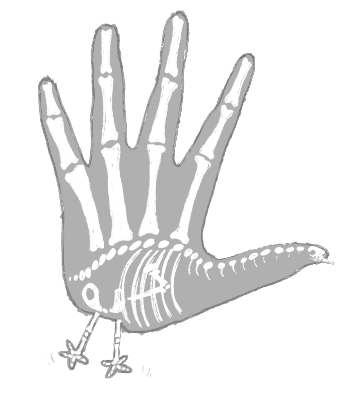 695x783 Turkey Hand Jam By Okavango