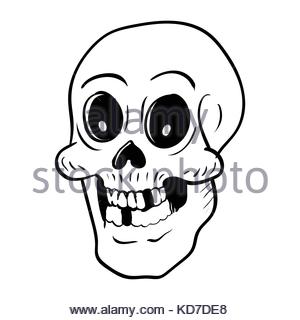 300x320 Skull Cartoon. Skeleton Head Drawing On White Background Stock