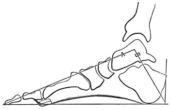 352x228 Popular Science Monthlyvolume 24march 1884fashion And Deformity
