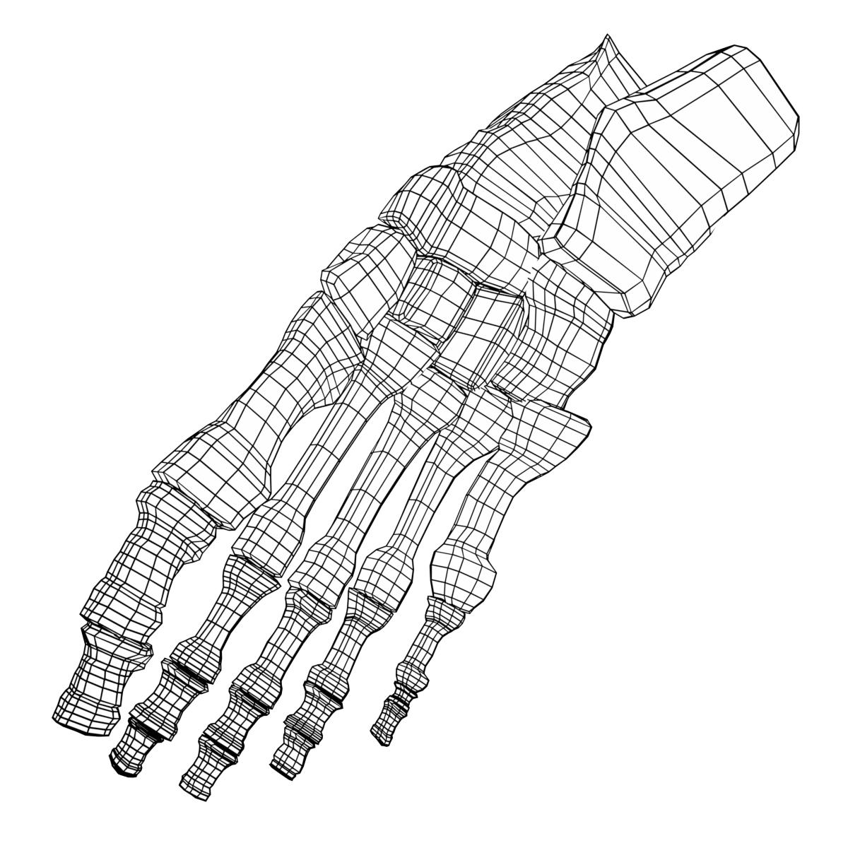 Skeleton Feet Drawing at GetDrawings | Free download