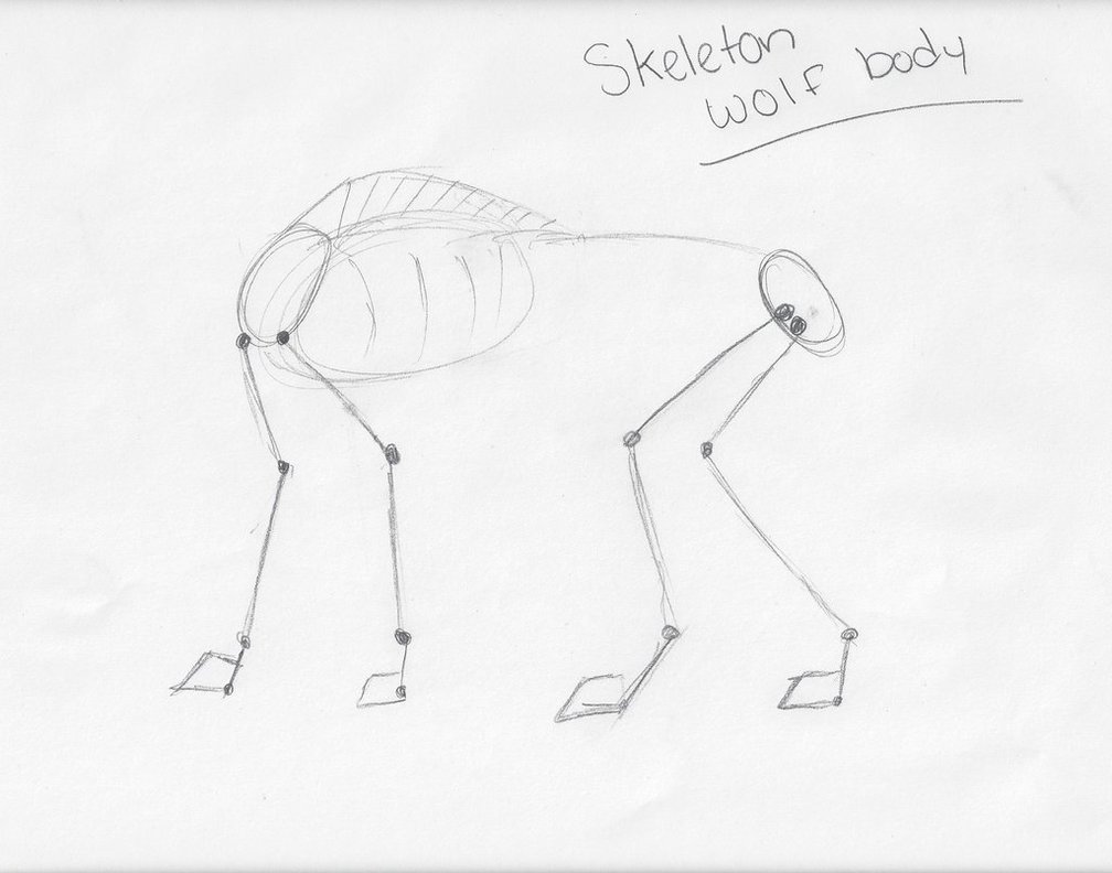 1008x792 Wolf Skeleton Body By Serahwolf