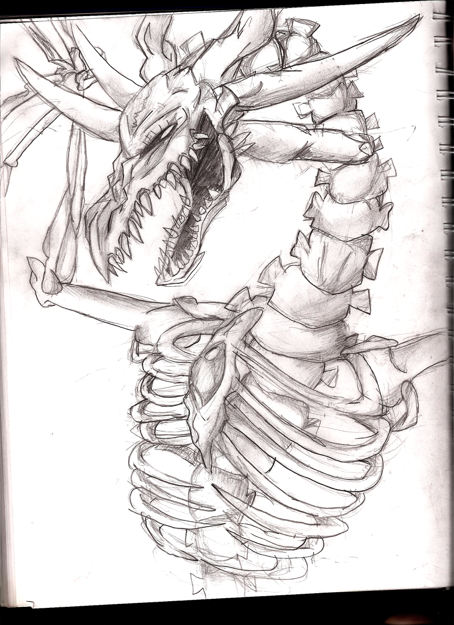 900x1238 Skeleton Dragon By Lifelessfreak