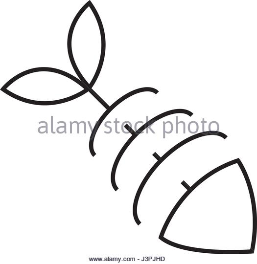 525x540 Fish Skeleton Stock Photos Amp Fish Skeleton Stock Images