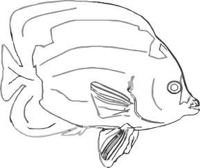 289x243 Skeleton Enhanced Line Drawings For 3d Models