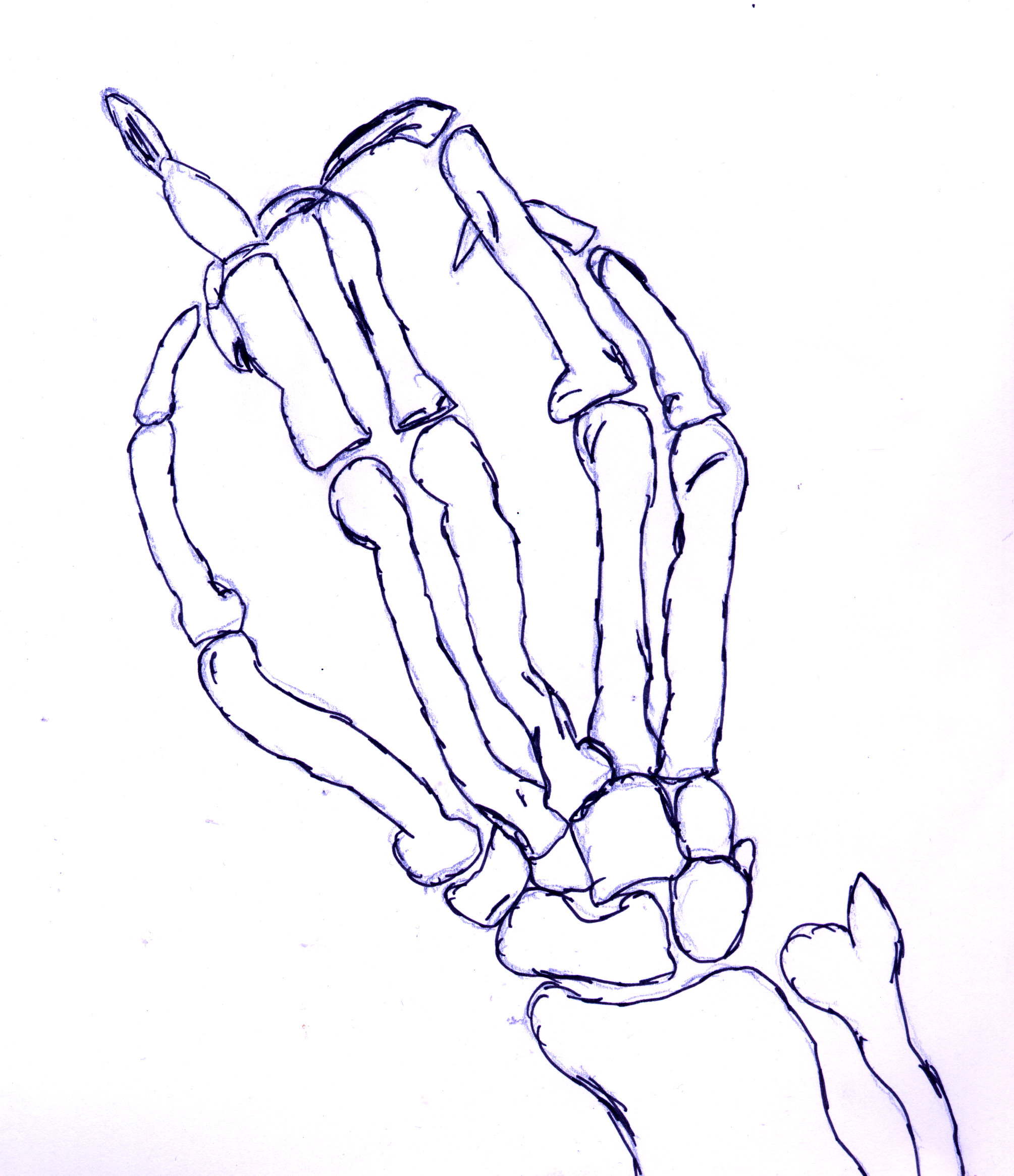 2009x2331 Sketch Of Skeleton Hand. Tamzyn1993's Blog