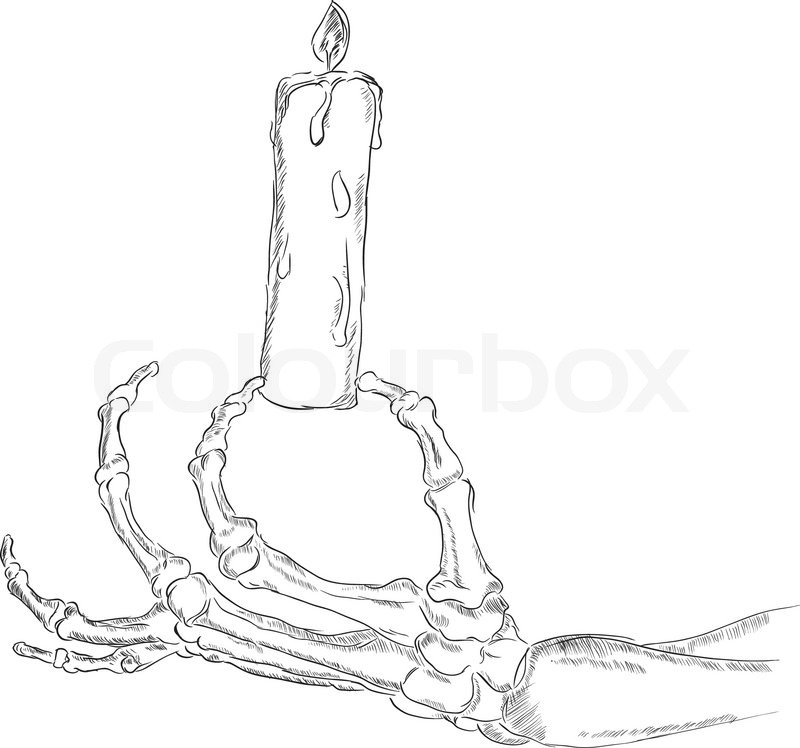 800x748 The Hand Skeleton Stock Vector Colourbox