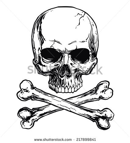 427x470 Drawn Bones Skull