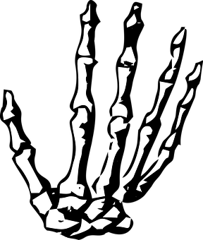 Skeleton Hand Drawing On Hand at GetDrawings | Free download