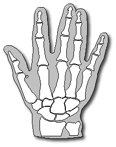 229x289 Interesting Facts About Hands