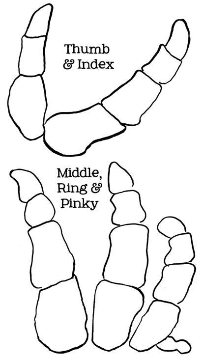 415x733 Giant Halloween Skeleton Hand Martini Glass