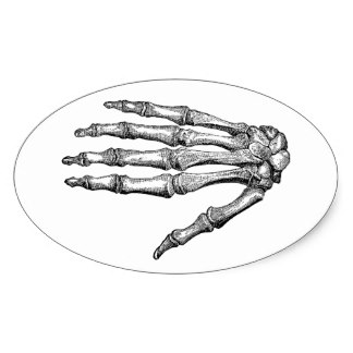 324x324 Halloween Skeleton Hand Stickers Zazzle